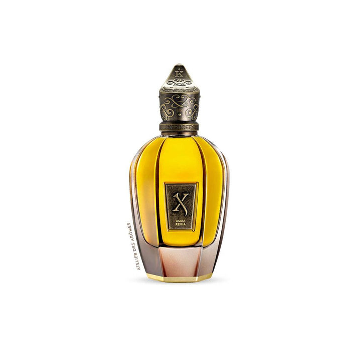 XJK AQUA REGIA | PARFUM | 100 ml