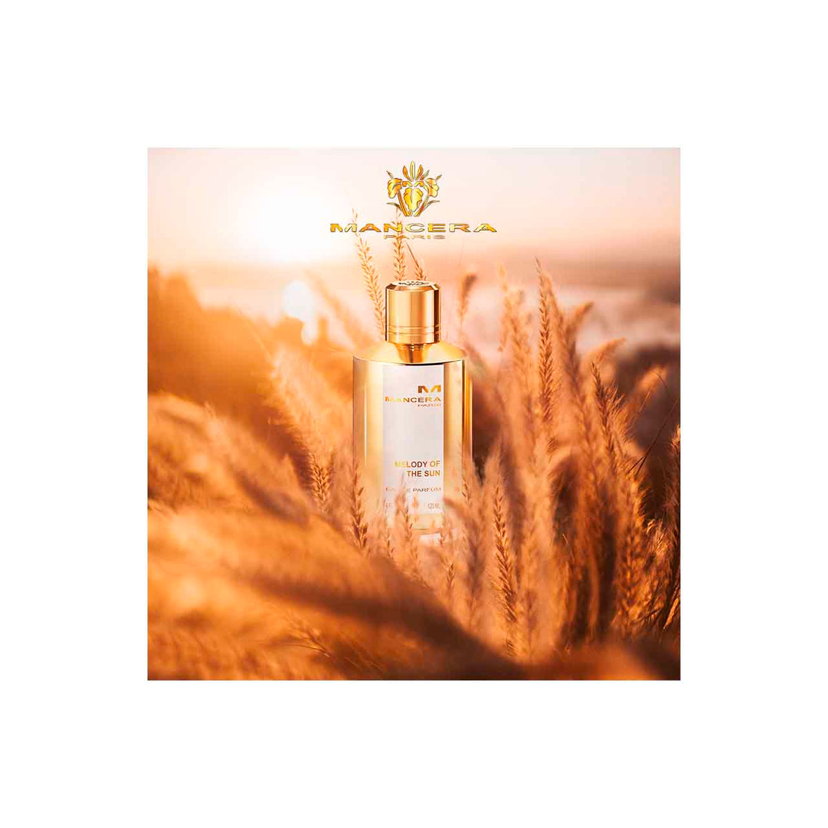 MELODY OF THE SUN | EDP | 120 ml