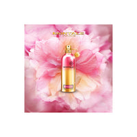 INTENSE CHERRY | EDP | 100 ml